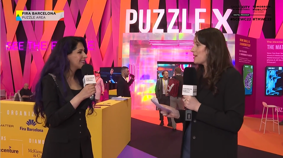 Zina Cinker, Puzzle X | Welcome to the MATTERverse