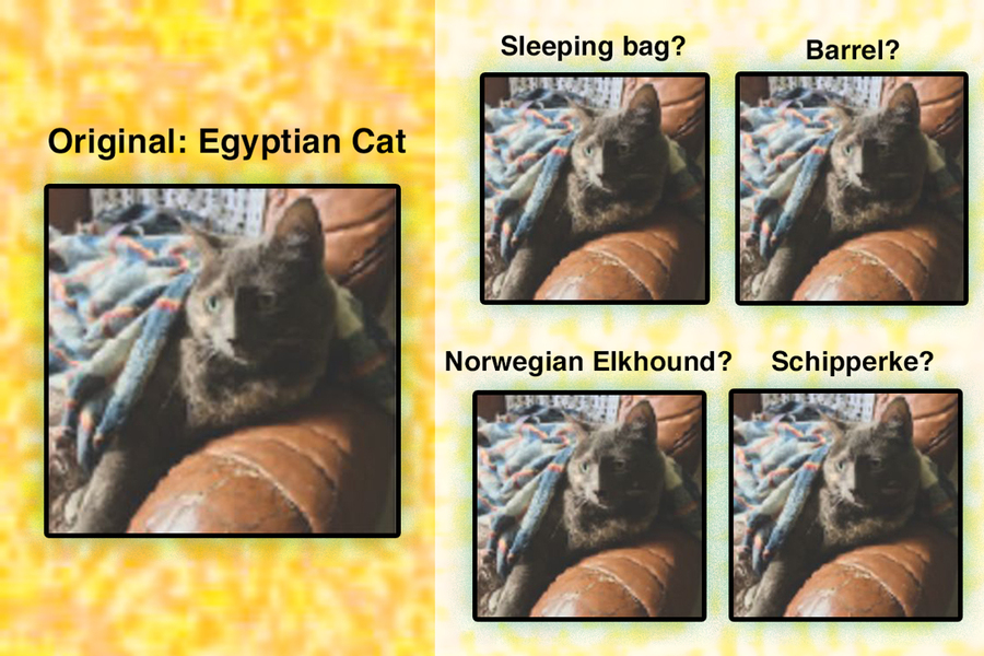 Neuroscientists find a way to make object-recognition models perform better