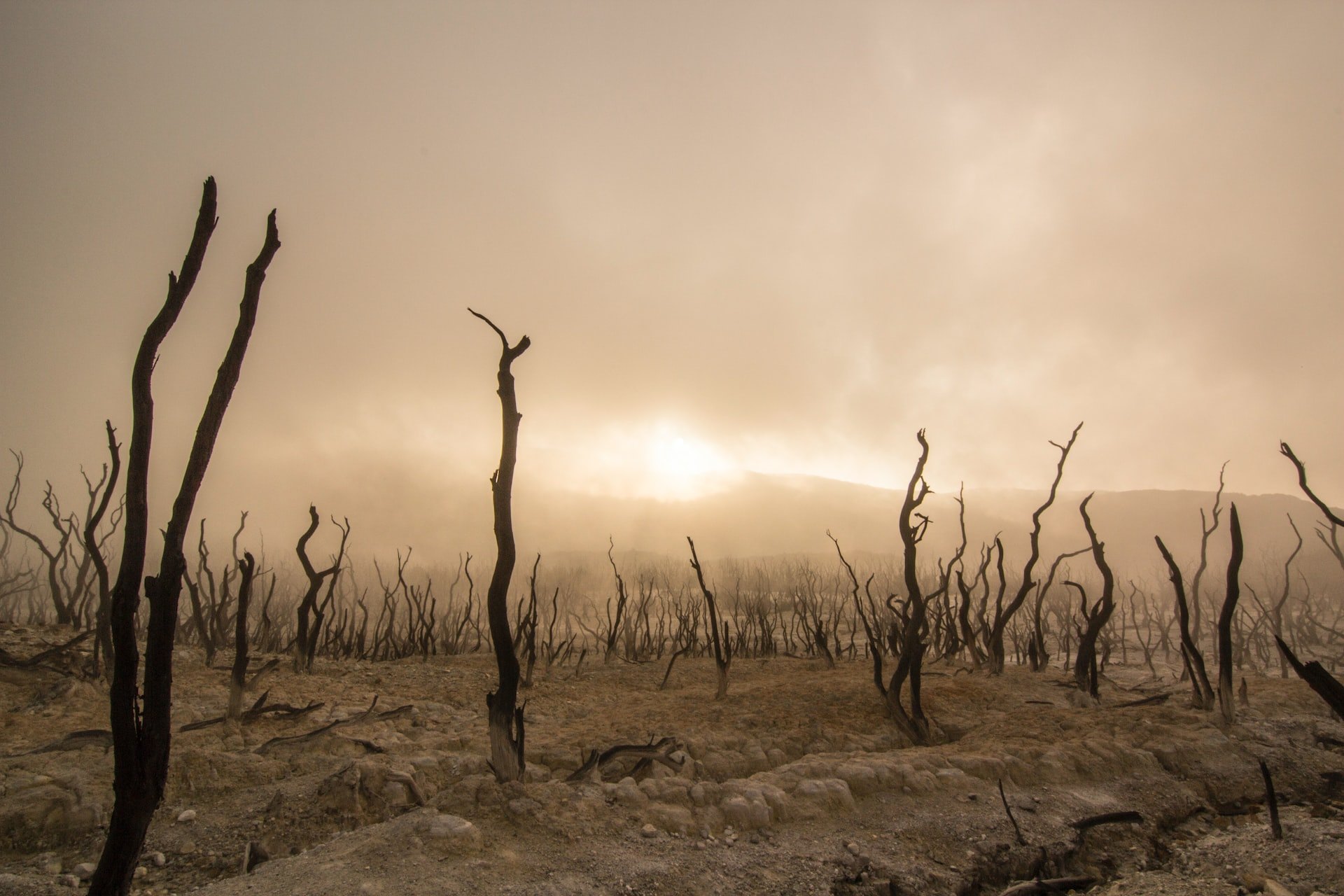 Qué es el antropoceno y cuáles son sus mayores desafíos