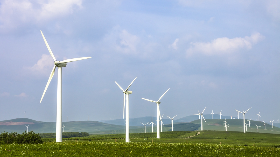 Rethinking the cities of tomorrow for a more habitable world