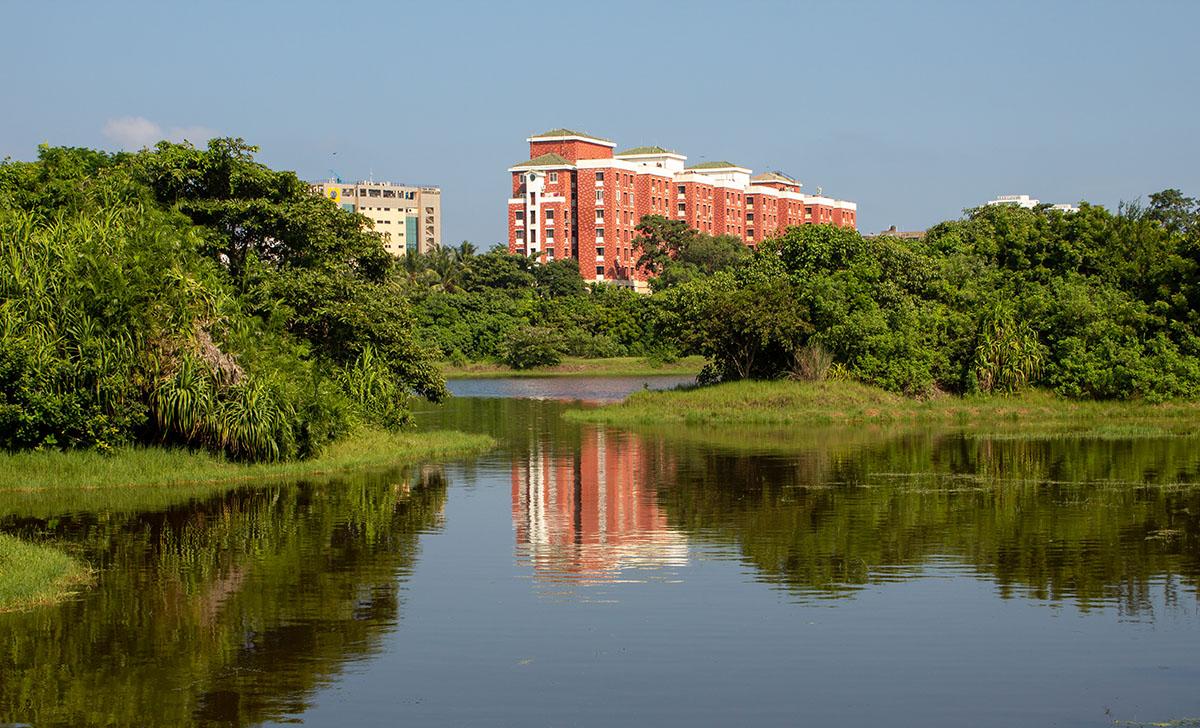 How Chennai wants to build resilience to climate change and the threats to its wetlands