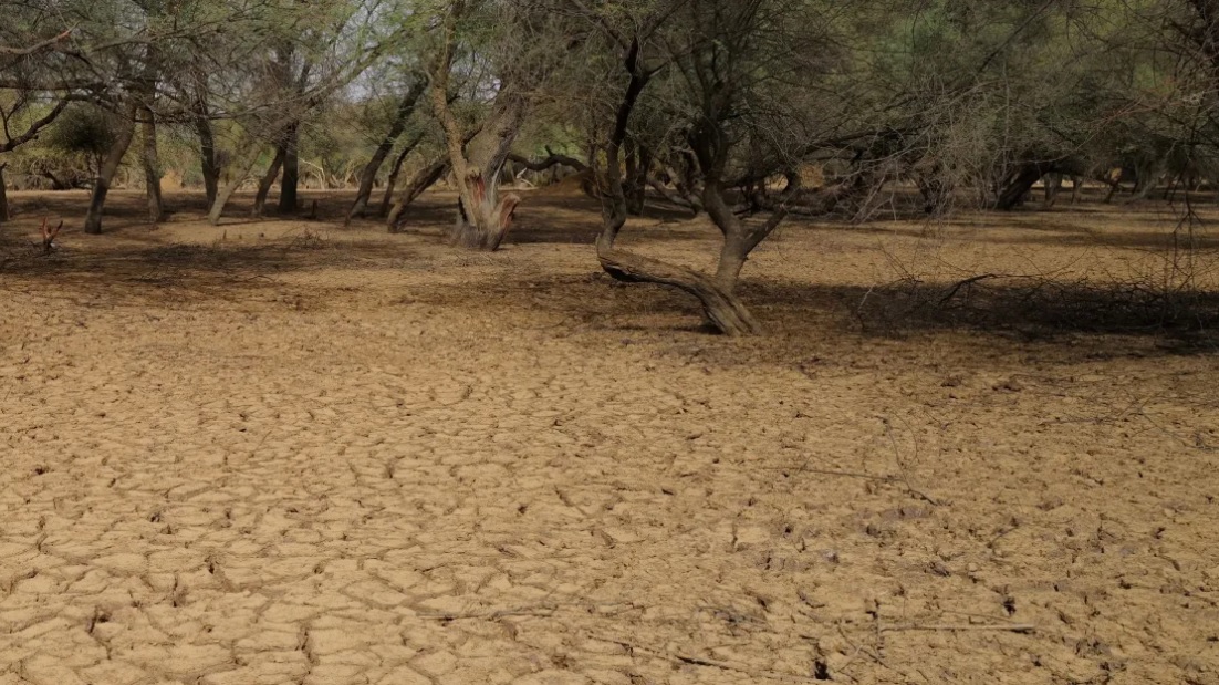 Climate migration—deepening our solutions