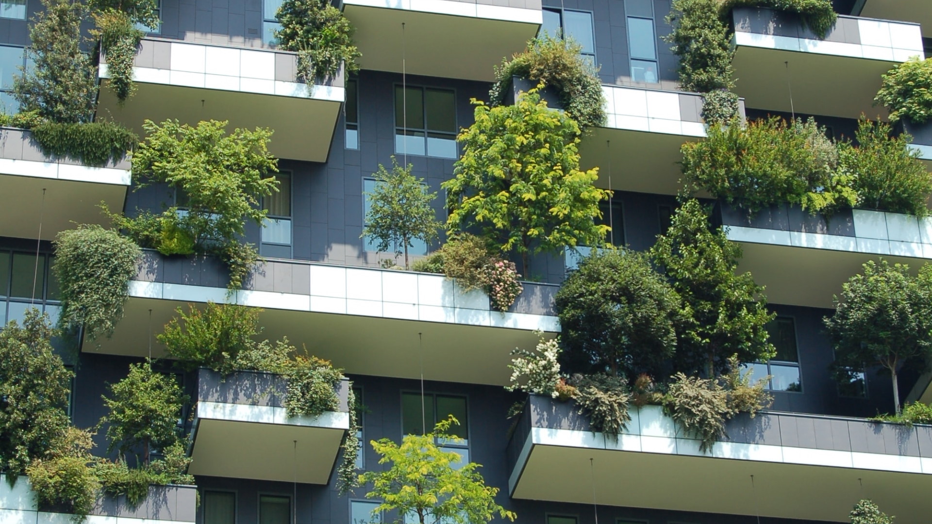 URBACT across EU countries: driving change at National Level