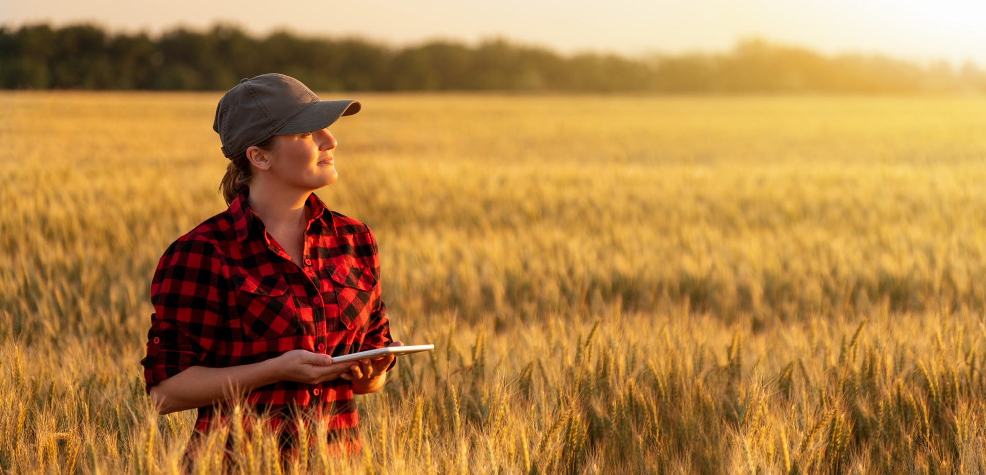 Connected agriculture: the Internet of Things extends to farming