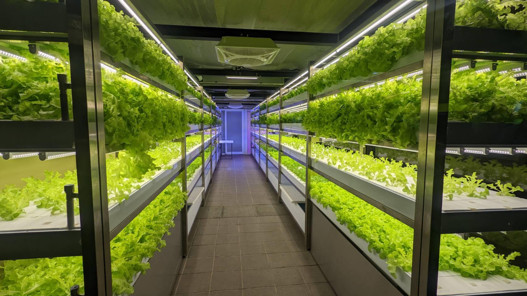 How Taiwan wants to turn its metro stations into vertical farms