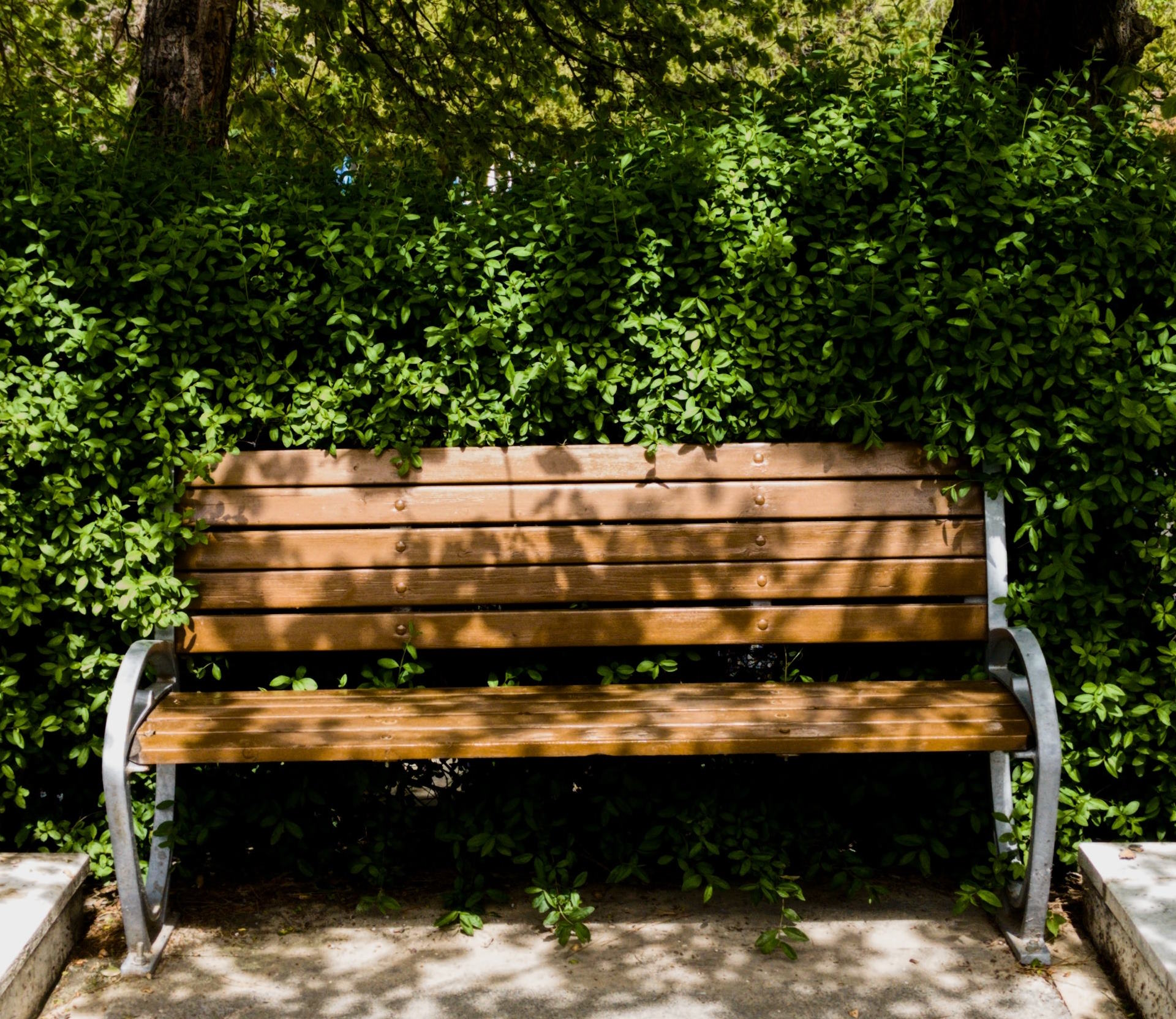 The ‘pocket parks’ of Athens: green oases in the city